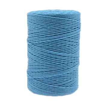 FIO ALINHAMENTO PT1 NYLON AZUL CLARO - 250GR