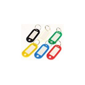 ETIQUETA PLASTICA CHAVE AZUL - 20UN