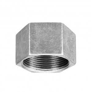 TACO FEMEA INOX 316 - 2"1/2