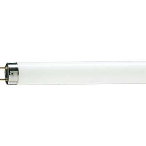 LAMP. TUBULAR FLUOR. T8 - 6500K - 18W